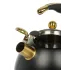 Чайник со свистком Daniks WT-T1054-BLK Carezza, индукция, черн../золот., 3 л.(516957)