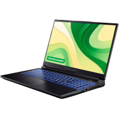 Ноутбук 17.3" THUNDEROBOT  911 Plus 3D IPS/i5-12450H 8c/16GB/512GB SSD/RTX3050-4GB/DOS (JT009L00RRU)