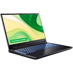 Ноутбук 17.3" THUNDEROBOT  911 Plus 3D IPS/i5-12450H 8c/16GB/512GB SSD/RTX3050-4GB/DOS (JT009L00RRU)