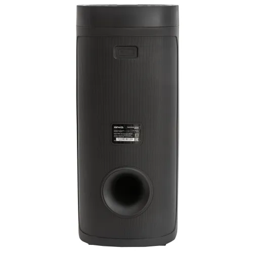 Акустика портативная AIWA CAS-622