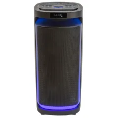 Акустика портативная AIWA CAS-622