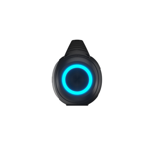 Акустика портативная MAXVI PS-04 черный