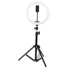 Кольцевая лампа WALKER P20D со штативом 33 см, RGB свет
