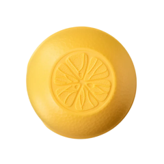 Контейнер для хранения лимона Бытпласт Phibo (С12887/4312887) (294850)