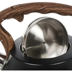 Чайник со свистком Daniks GS-04052B-1, индукция, черный антрацит, 2,8 л.(480200)