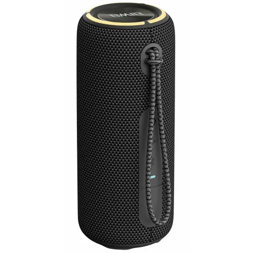 Акустика портативная AIWA PAS-H200 black