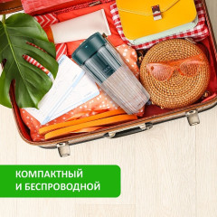 Измельчитель портативный LEXAND JB LX 200 (*5)