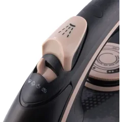 Утюг DOMFY DSC-EI901 черный/ золотистый