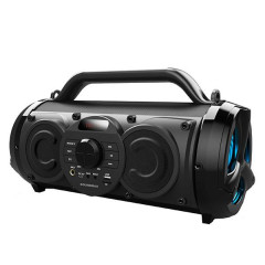 Акустика портативная SOUNDMAX  SM-PS5071B
