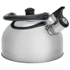 Чайник со свистком WEBBER BE-0526, нерж., 2.5 л.