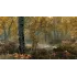 Игра PS4 The Elder Scrolls V: Skyrim. Anniversary Edition Русская версия