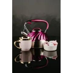 Чайник со свистком ASTIX SWK-520