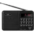Радиоприемник PERFEO PF-A4870 PALM черный