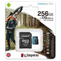 Карта SD 256 GB Kingston Class10  SDCG3/256Gb Canvas Go