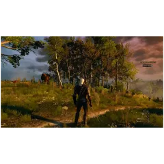 Игра PS5 Ведьмак 3: Дикая Охота