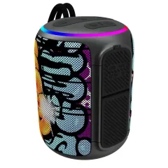 Акустика портативная PERFEO PF_D0345 