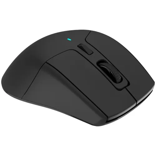 Мышь Acer OMR170 черный