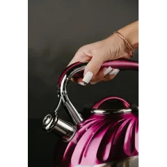 Чайник со свистком ASTIX SWK-520