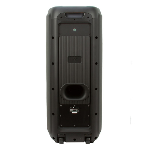 Акустика портативная ELTRONIC 20-03 WAVE 800