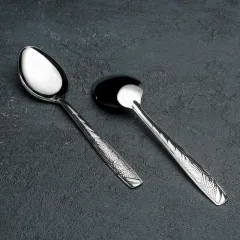 Ложка столовая, набор, «Паритто», нерж., h=19 см, 12 пр.(3899495)