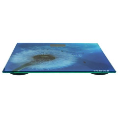 Весы напольные электронные CENTEK CT-2421 Цветы