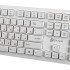 Клавиатура Oklick 505M белый USB (*7)