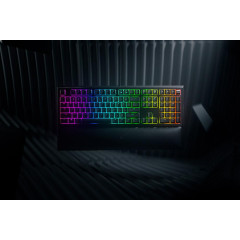 Клавиатура Razer Ornata V2 Black (RZ03-03380700-R3R1)