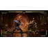 Игра PS4 Mortal Kombat 11