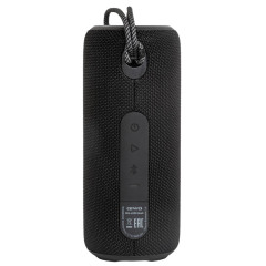 Акустика портативная AIWA PAS-H200 black