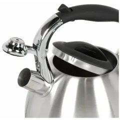 Чайник со свистком Daniks GS-04511, нерж., 3 л.