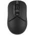 Мышь A4 Fstyler FG12 черный оптическая (1200dpi) беспроводная USB (3but)