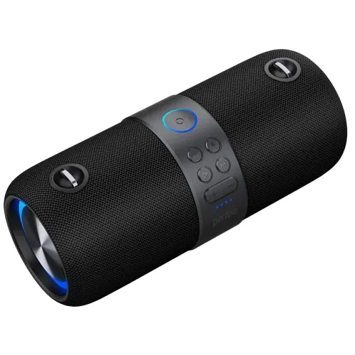 Акустика портативная PERFEO PF-B4196