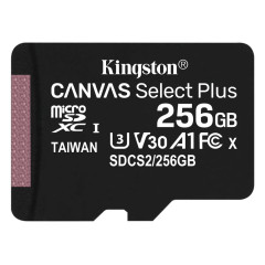 Карта SD 256 GB Kingston SDCS2/256GBSP Canvas Select Plus Class10