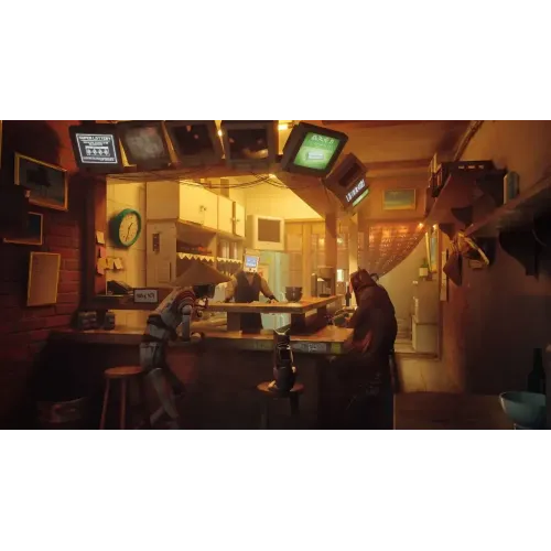 Игра PS4 Stray (Русские субтитры )