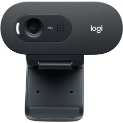 Камера WEB LOGITECH C505e черный (960-001372)