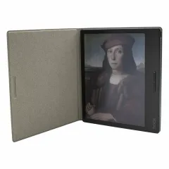 Книга электронная ONYX BOOX RAPHAEL чёрная