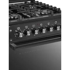 Газоэлектроплита IDEAL L 250 ГК черный (*11)