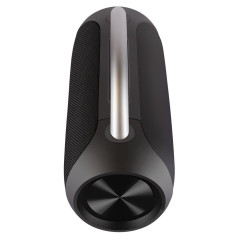 Акустика портативная GINZZU GM-909B