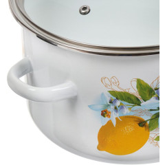 Кастрюля Сибирские товары, Лимоны, эмаль, индукция, 4 л., 1MD201S (419339)