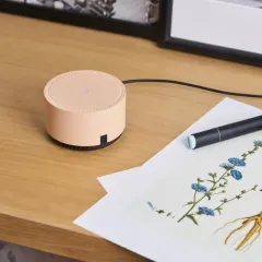 Умная колонка Яндекс.Станция Лайт с Алисой внутри бежевая