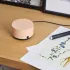 Умная колонка Яндекс.Станция Лайт с Алисой внутри бежевая