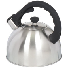 Чайник со свистком Daniks MSY-066, индукция, нерж., 3 л.(308666)