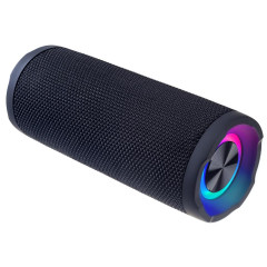 Акустика портативная PERFEO PF_D0339 