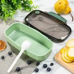 Ланч-бокс СПЕКТР, прямоугольный, 21х7х7 см (Y6-6575)(430137)