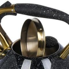 Чайник со свистком Daniks GS-04517G, индукция, нерж., черный, 3 л.(446895)