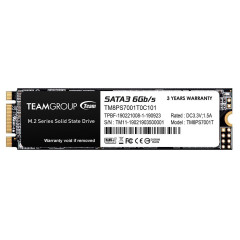 SSD M.2 1 Tb Team Group MS30 [TM8PS7001T0C101]