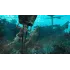 Игра PS4 Assassin's Creed IV. Черный флаг (Русская версия)