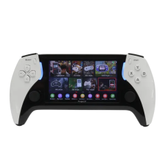 Игровая консоль Project X, портативная, 40000 игр, белая