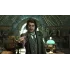 Игра PS4 Hogwarts Legacy (Русские субтитры)