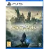 Игра PS5 Hogwarts Legacy (Русские субтитры)